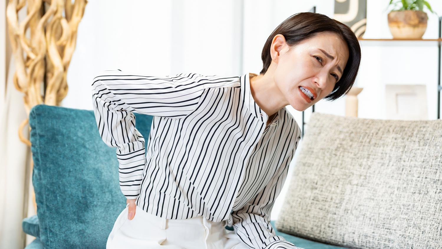 800名の大規模研究で実証！腰痛に鍼治療が効果有り